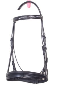 Leather Horse Bridle
