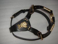 Dog Harness