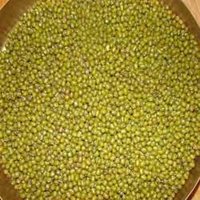 Moong Sabut (Mung Bean)