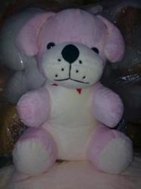 Teddy Bear Dog