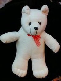 Teddy Bear Shakti Charlie T031
