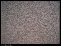 PU And PVC Leather
