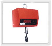 Crane Scale