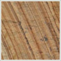 Yellow Dhari Sandstone