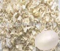 Onion Minced