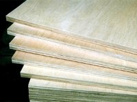 Hardwood Plywood