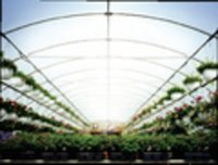 Greenhouse Films