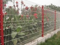 Wire Mesh Fence
