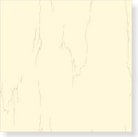 Polished Porcelain Tile