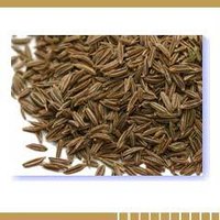 Cumin Seeds
