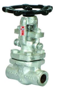 FCS Globe Valve Screwed end