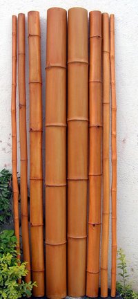 Fake Bamboo