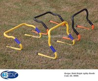 Multi Height Hurdle
