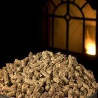 Bio Energy Briquettes