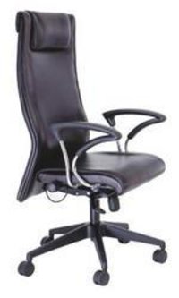 Ergonomic Chair