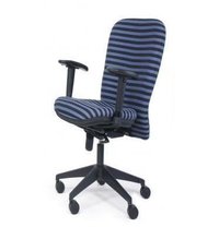 Revolving Official Chair