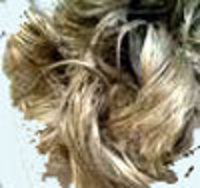 Jute
