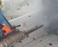 Anti Adult Mosquito Measure Fogging Treatment Service