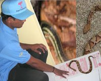 Snake Prevention Treatment Service