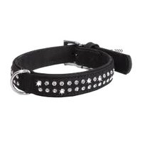 Dog Collar