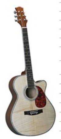 Solid Maple Acoustic Guitar 40