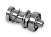 Camshaft With Bearing