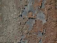Mould Paint 44