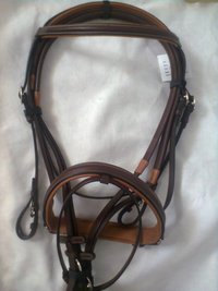 Dressage Bridle