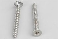 SS Screw