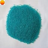 Barley Seed