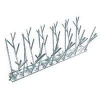 Bird Spikes