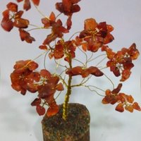 Feng Shui Carnelian Tree