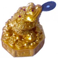 Feng Shui Toad- Golden Colour