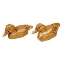 Mandarin Duck - Pair
