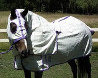 Horse Show Set