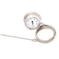 Capillary Temperature Gauge - Manufacturers, Suppliers & Dealers