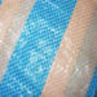 PP Rice Bag