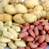 Peanuts