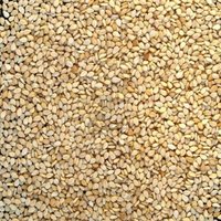 Sesame Seeds