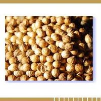 Coriander Seed