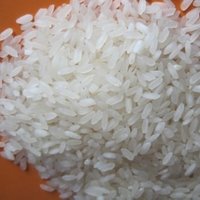 Medium Grain Rice