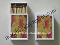 Pocket Safety Match