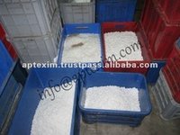 Synthetic Camphor