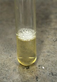 In Can Preservative