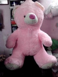 Pink Color Teddy Bear
