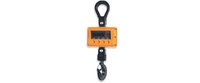 Crane Scales