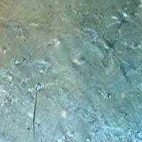 Ocean Green Slate Tiles