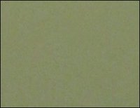 Shell Paint (Bpr-1027)