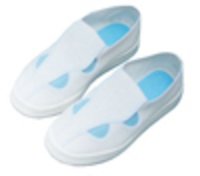 ESD Shoe