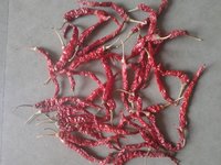 Red Dry Chilli